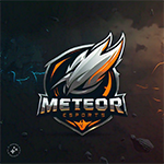 201.Meteor Esports