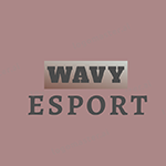 224.Wavy Esport