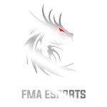 248.FMA ESPORTS