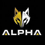 251.TEAM ALPHA