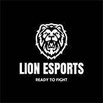 311.Lion Esports