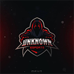 355.unknown esports