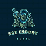 432.ACE ESPORTS
