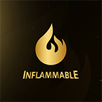 460.INFLAMMABLE ESPORTS