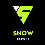 48.snow esports