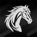 520.Team Stallions