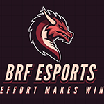 521.Team BRF sports